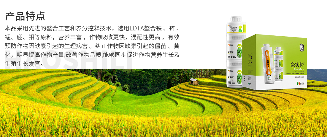 豪实粒1
